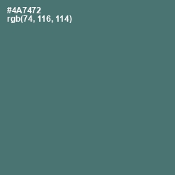 #4A7472 - Faded Jade Color Image
