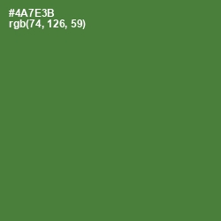 #4A7E3B - Chalet Green Color Image