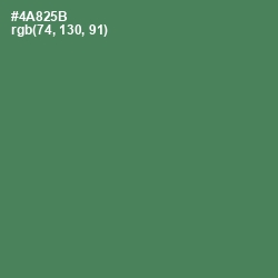 #4A825B - Hippie Green Color Image