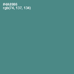 #4A8986 - Smalt Blue Color Image