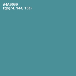 #4A9099 - Smalt Blue Color Image