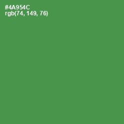 #4A954C - Fruit Salad Color Image