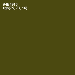 #4B4910 - Bronze Olive Color Image