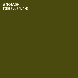 #4B4A0E - Bronze Olive Color Image