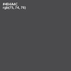 #4B4A4C - Gravel Color Image