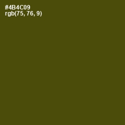 #4B4C09 - Bronze Olive Color Image