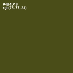 #4B4D18 - Bronzetone Color Image