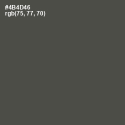 #4B4D46 - Gravel Color Image