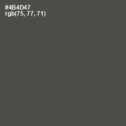 #4B4D47 - Gravel Color Image