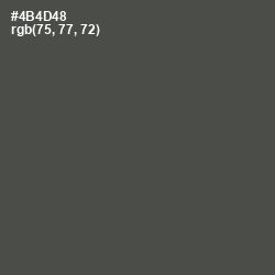 #4B4D48 - Gravel Color Image