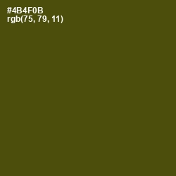 #4B4F0B - Bronze Olive Color Image