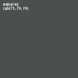 #4B4F4E - Gravel Color Image