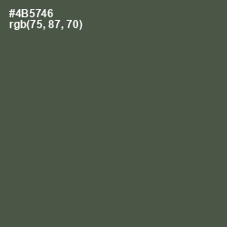 #4B5746 - Gray Asparagus Color Image