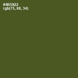 #4B5822 - Woodland Color Image