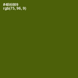 #4B6009 - Green Leaf Color Image