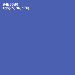 #4B60B0 - San Marino Color Image