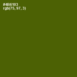 #4B6103 - Green Leaf Color Image