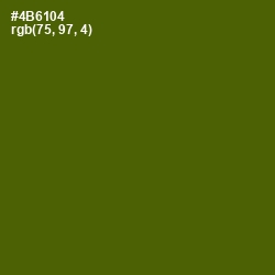 #4B6104 - Green Leaf Color Image