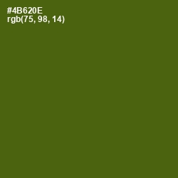 #4B620E - Green Leaf Color Image