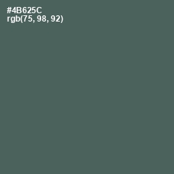 #4B625C - Finlandia Color Image