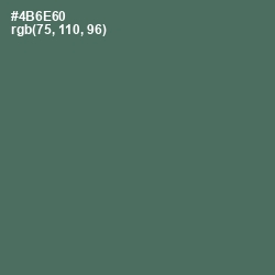 #4B6E60 - Como Color Image