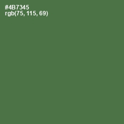 #4B7345 - Fern Green Color Image