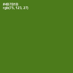 #4B7B1B - Green Leaf Color Image