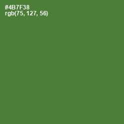 #4B7F38 - Chalet Green Color Image