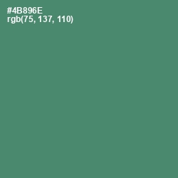 #4B896E - Viridian Color Image