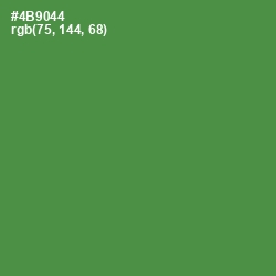 #4B9044 - Hippie Green Color Image