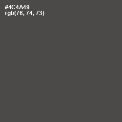 #4C4A49 - Gravel Color Image