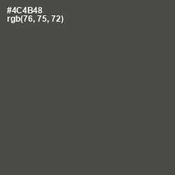#4C4B48 - Gravel Color Image