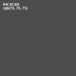 #4C4C4B - Gravel Color Image