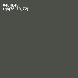 #4C4E48 - Gravel Color Image