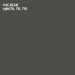 #4C4E4A - Gravel Color Image