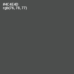 #4C4E4D - Gravel Color Image