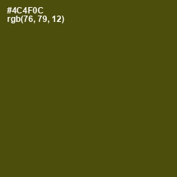 #4C4F0C - Bronze Olive Color Image