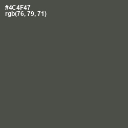 #4C4F47 - Gravel Color Image
