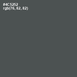 #4C5252 - Nandor Color Image