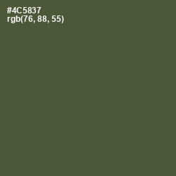 #4C5837 - Woodland Color Image