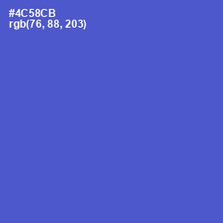 #4C58CB - Indigo Color Image