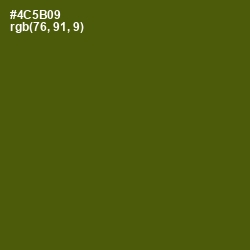 #4C5B09 - Verdun Green Color Image