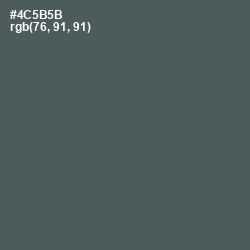 #4C5B5B - Nandor Color Image