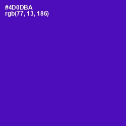 #4D0DBA - Daisy Bush Color Image