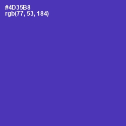 #4D35B8 - Daisy Bush Color Image
