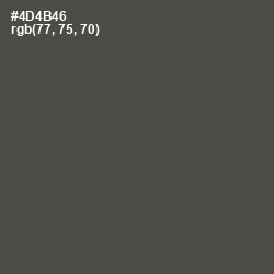 #4D4B46 - Gravel Color Image