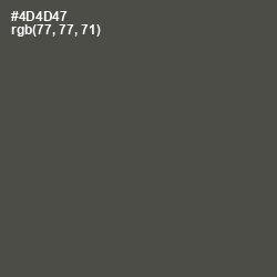 #4D4D47 - Gravel Color Image