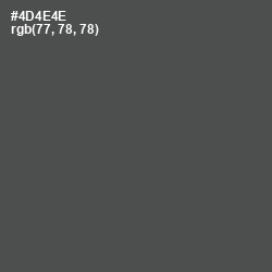 #4D4E4E - Gravel Color Image