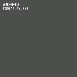 #4D4F4D - Gravel Color Image