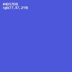 #4D57DB - Royal Blue Color Image